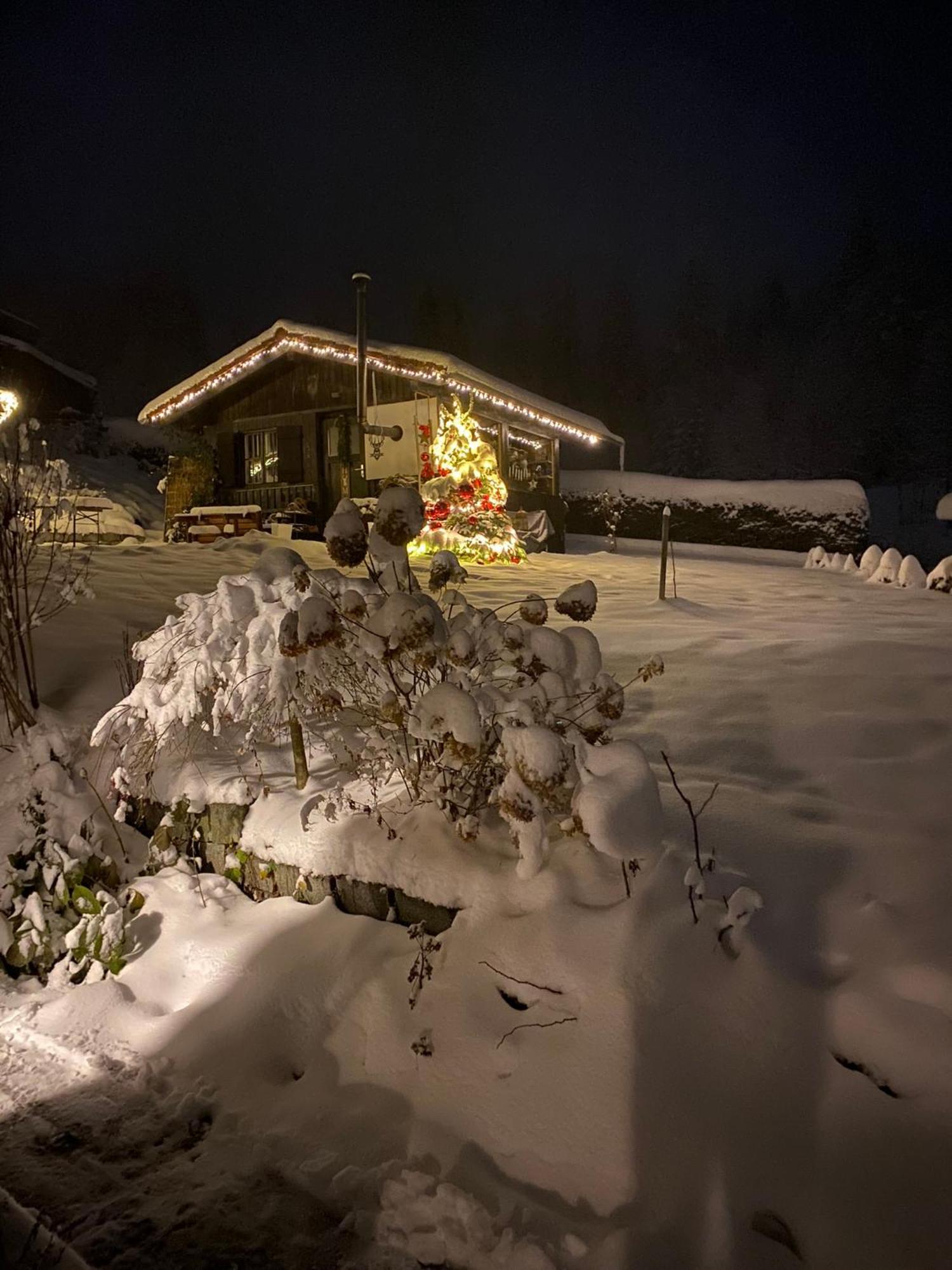 Das Alte Forsthaus Spiegelhuette Lindberg Extérieur photo